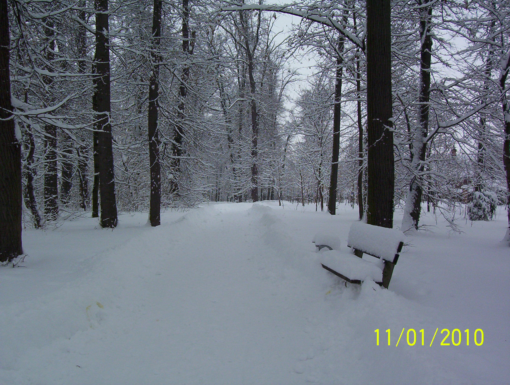 100_6223.JPG